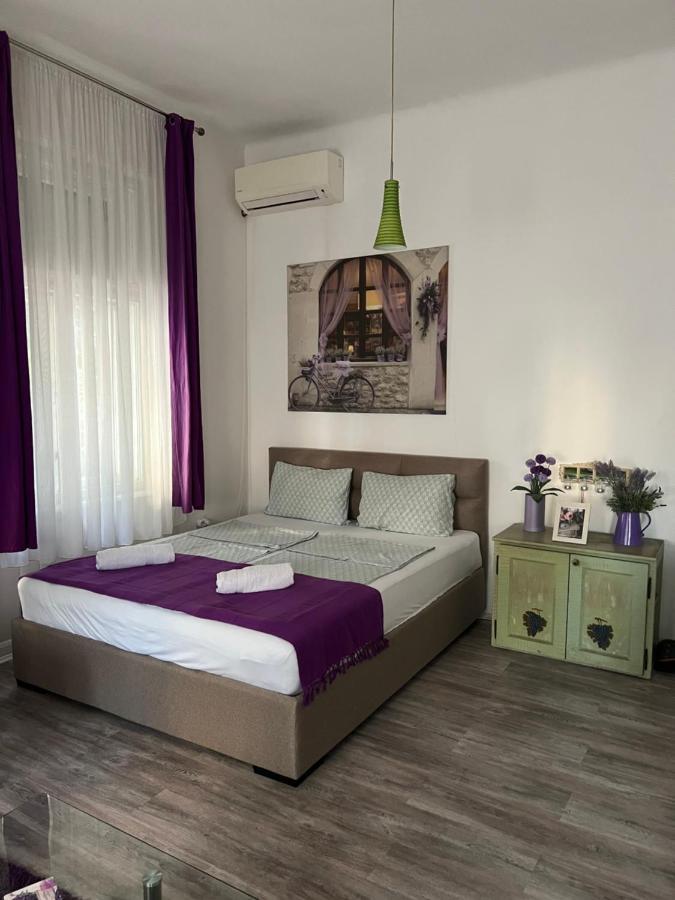 Center Cosy Vintage Apartment Нови-Сад Экстерьер фото