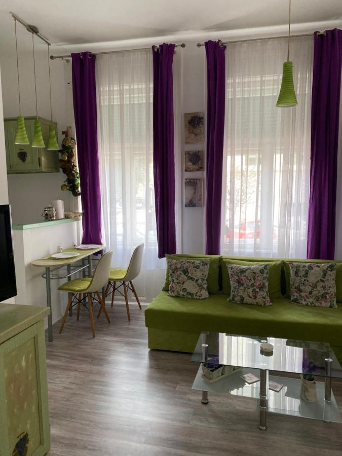 Center Cosy Vintage Apartment Нови-Сад Экстерьер фото