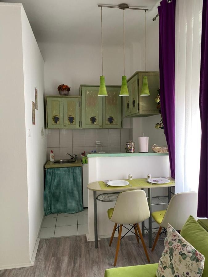 Center Cosy Vintage Apartment Нови-Сад Экстерьер фото
