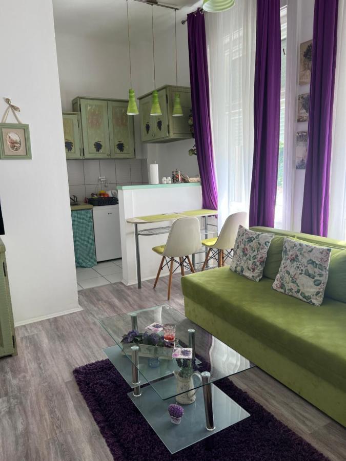 Center Cosy Vintage Apartment Нови-Сад Экстерьер фото